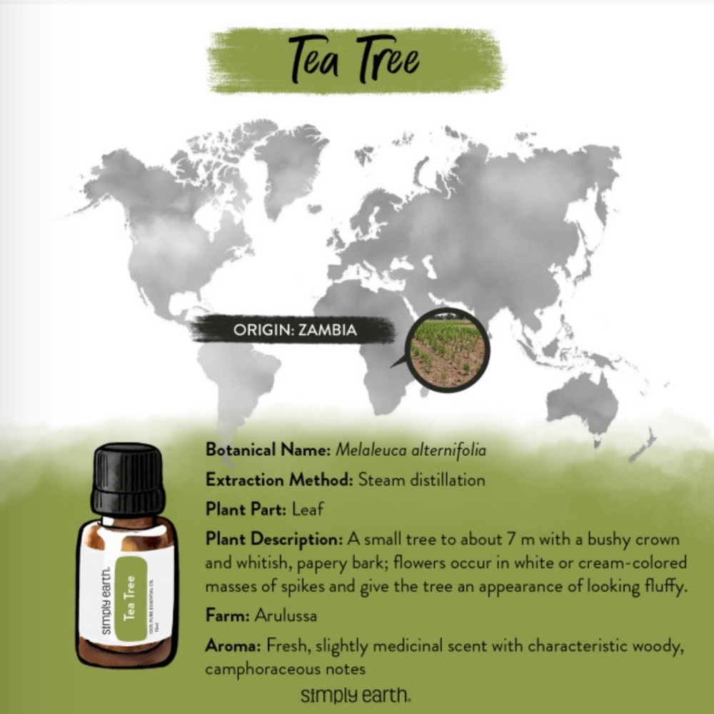 Simply Earth Tea Tree Essential Oil - Picture 4 of 8